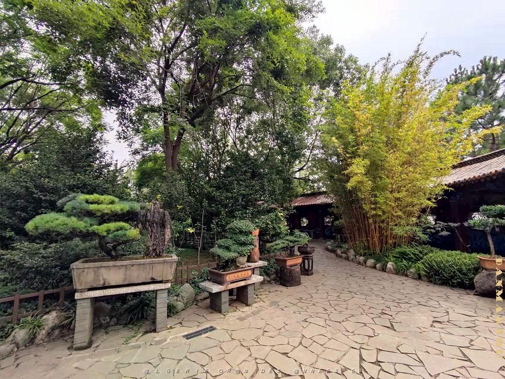 Kunming - Parc Cuihu - 12.jpg